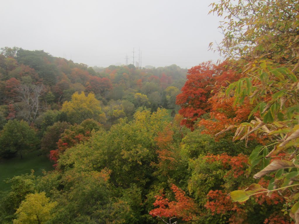 Autumn at East York park toronto by sadreddin