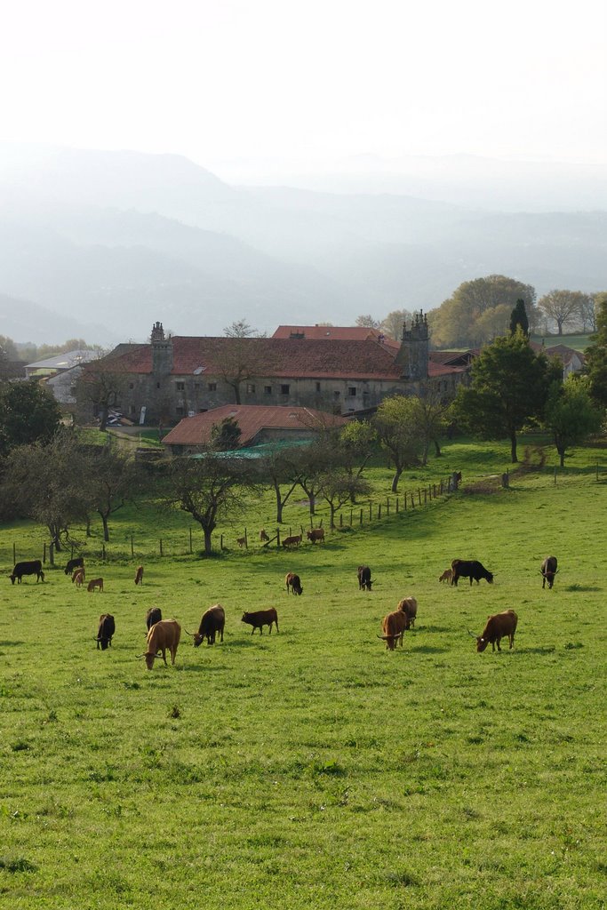 Pazo de fontefiz by boaga