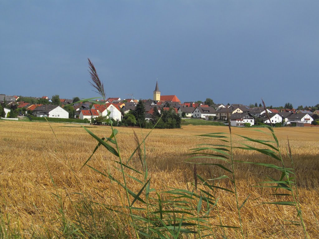 Wackersdorf, Ansicht von Westen by Heinz_268