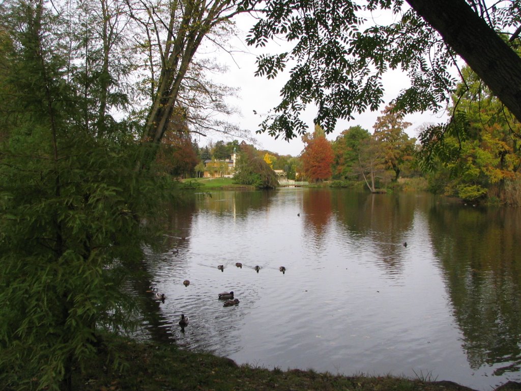 Park Sanssouci, Maschinenteich, Potsdam 1 by Willow-987