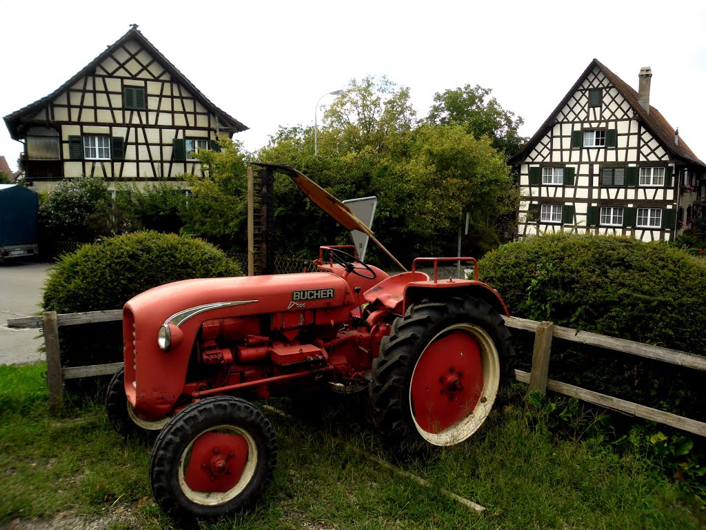 2012.08-Wandern nach Ermatingen. by dawx