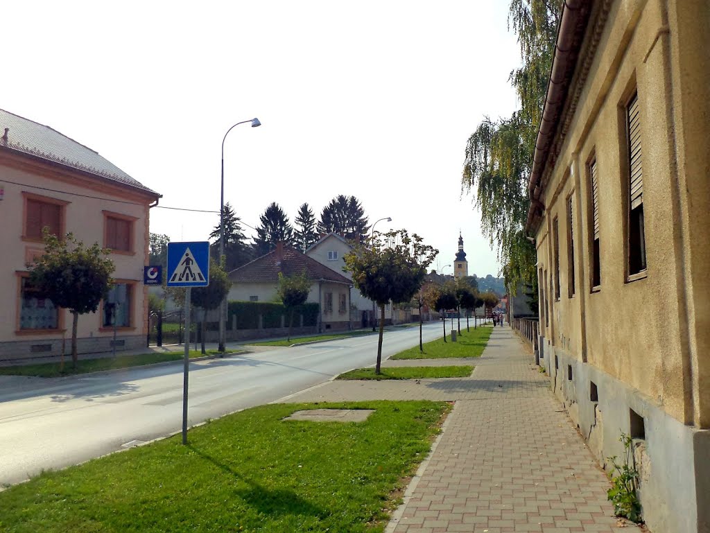 Ul. Petra Zrinjskog, Ludbreg - View to Crkva Presvetog Trojstva by Rabko