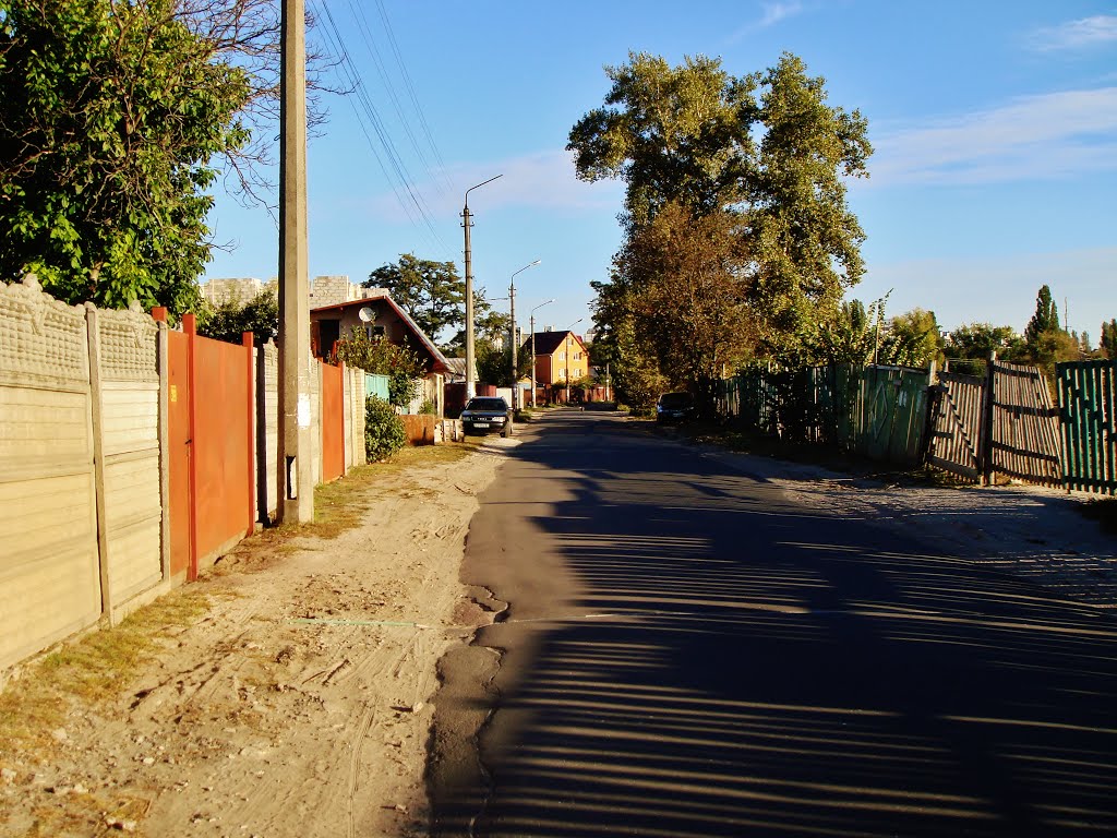 24.09.2012 17:12 Троещина. Деснянская улица. Вид в сторону улицы Мичурина. by senisi