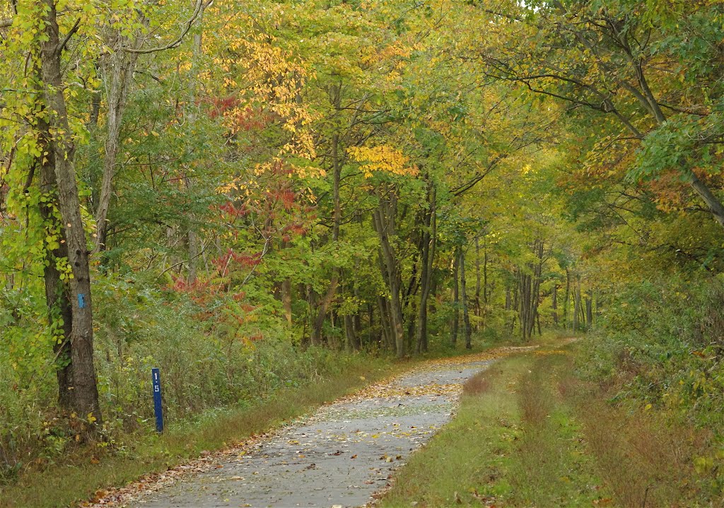 Allegheny Valley Trail by tdistefano