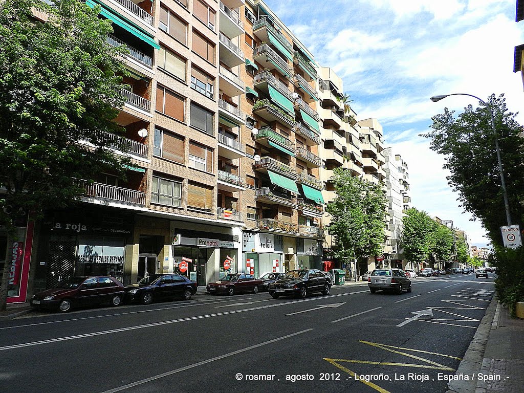 Calle del General Vara del Rey, Logroño, La Rioja, España by Rosa  M. Olivan M.(-rosmar- )