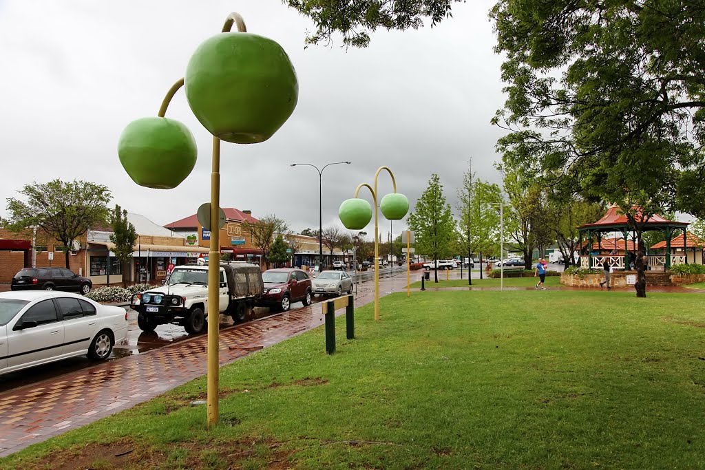 Donnybrook - Main Street - I've Got a Lovely Bunch of.... by Derek Graham