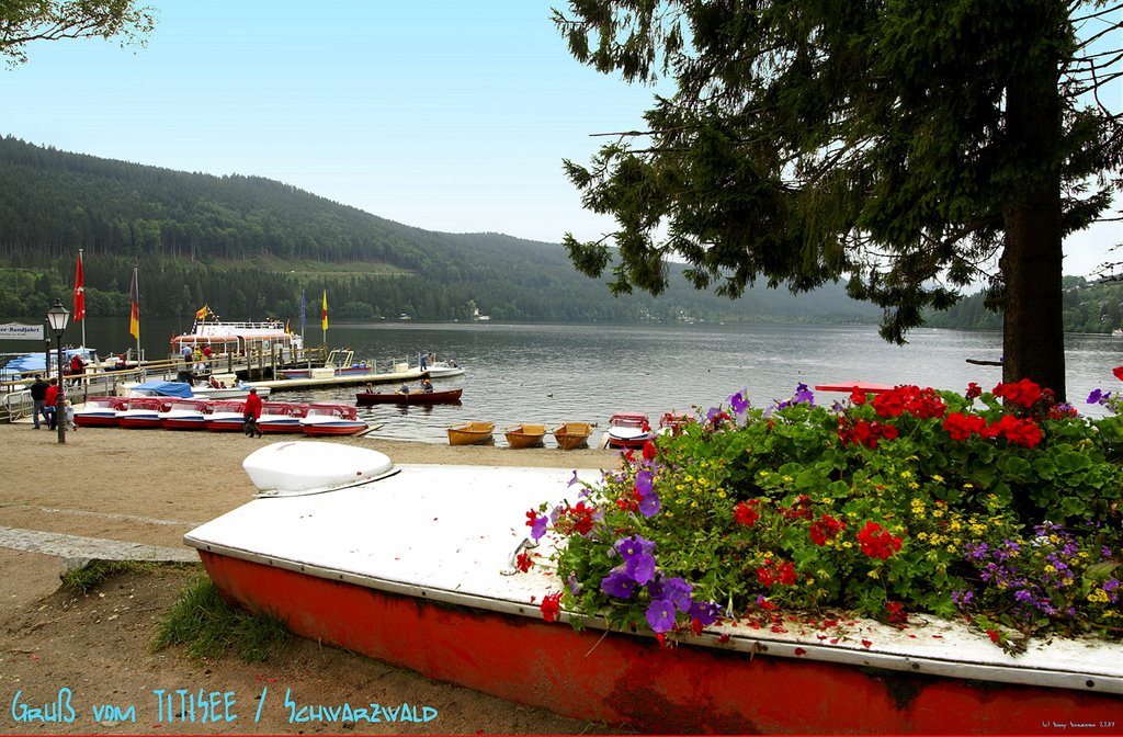 Titisee als Postkarte by © DerSIGGY