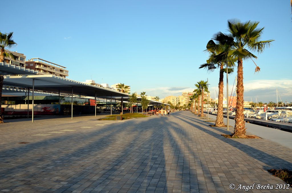 AVENIDA JUNTO AL PUERTO -80543180 by Ángel Breña Camps © Fotografía