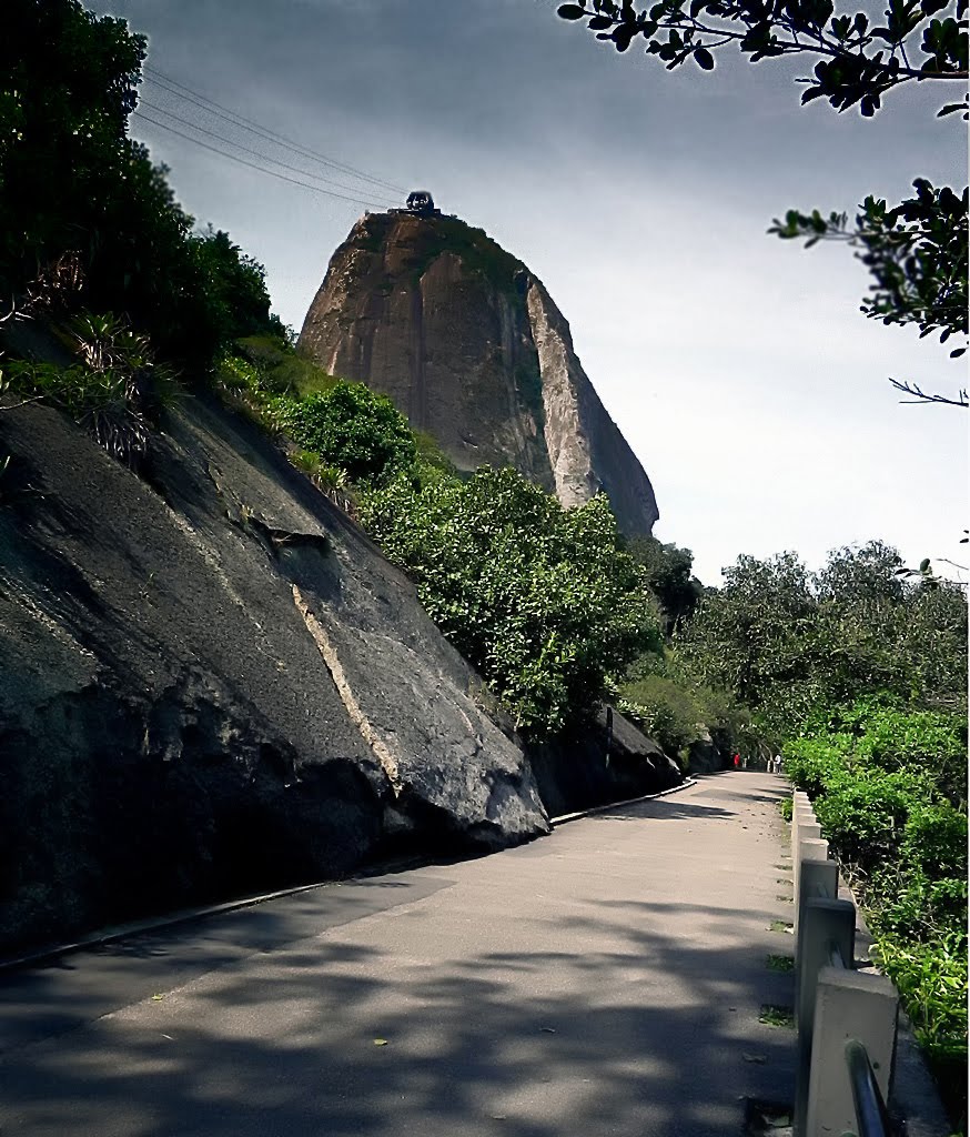 - Monumento Natural dos Morros do Pão de Açúcar e da Urca - by Sergio Delmonico