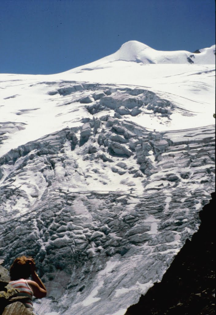 1979 Sulzenauferner, Zuckerhütl 3507m, Stubaital (A) by Proppi