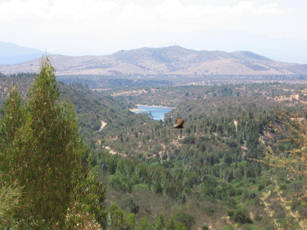 Camino a Los Aromos 01 by rodrigomaturana