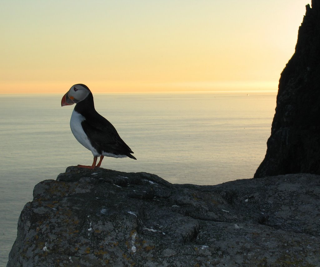 Solnedgang ved lundeura Runde by Malvin H. Fauske