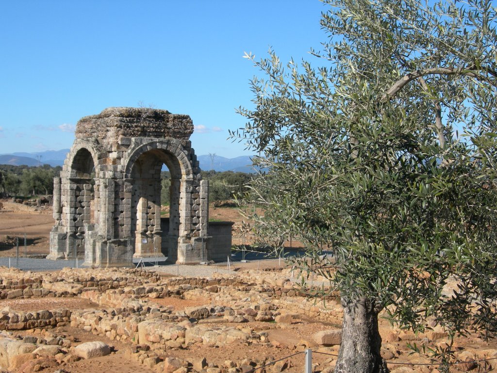 Olivo y Arco by Chema Sanco