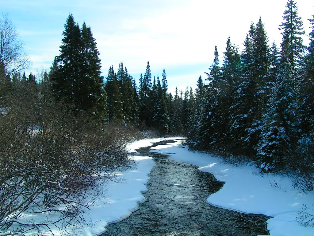 Lyon Brook, Bigelow rd, Bloomingdale, NY, jan 11, 2005a by Tom Dudones