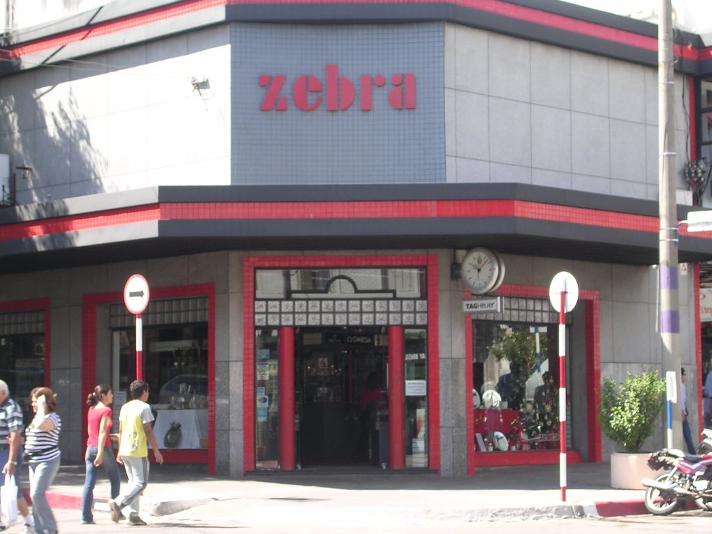 Zebra Free Shop by yinela.u2