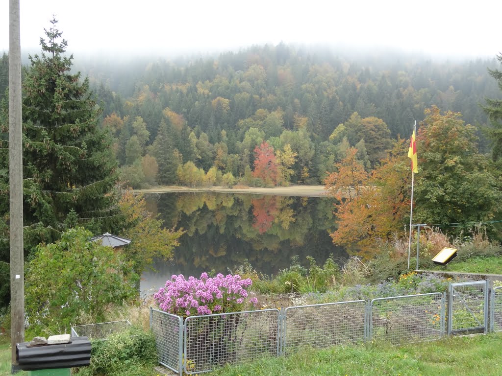 Klosterweiher, (Dachsberg) Schwarzwald by wesi