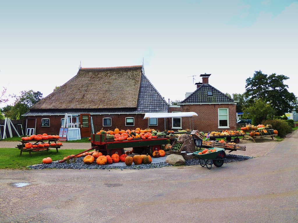 Twijzel. Halloween Farm. (BB) by Bayke de Vries