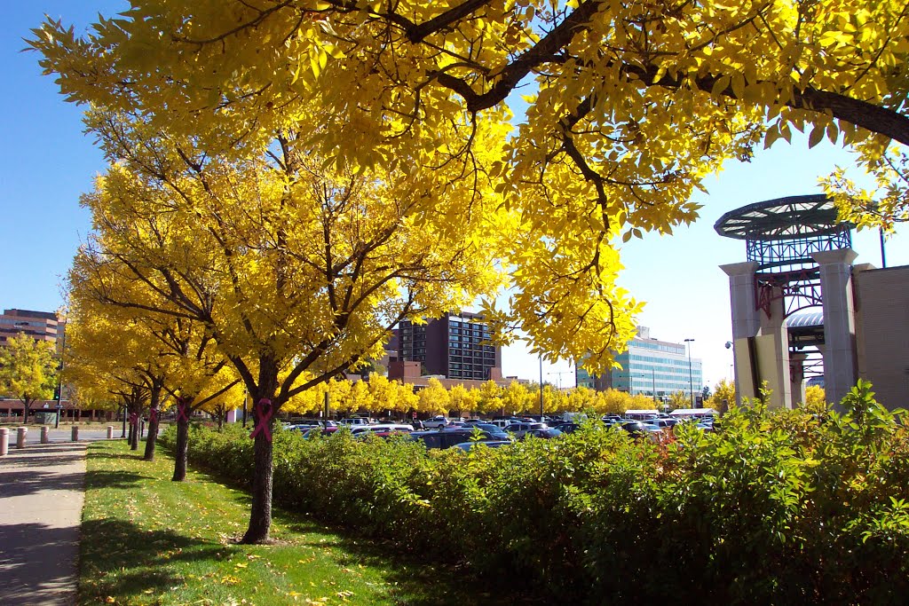 Cherry Creek Autumn by Rafi Metz