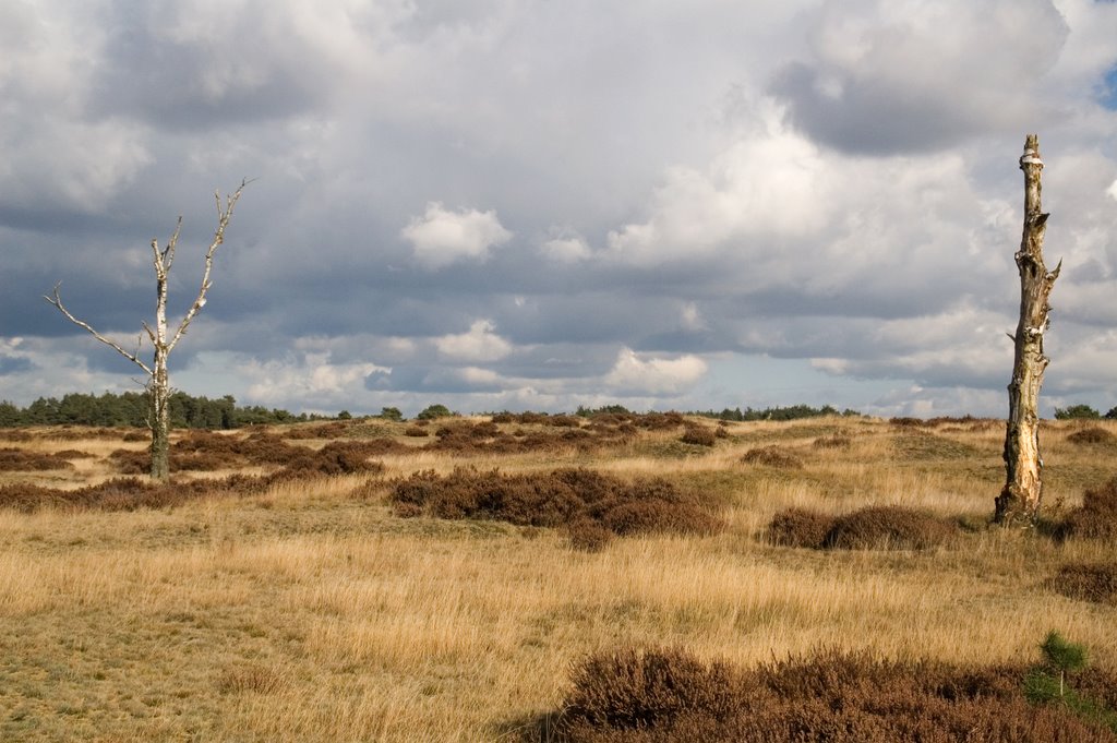 Park de Hoge Veluwe by www.hansbax-fotowens…