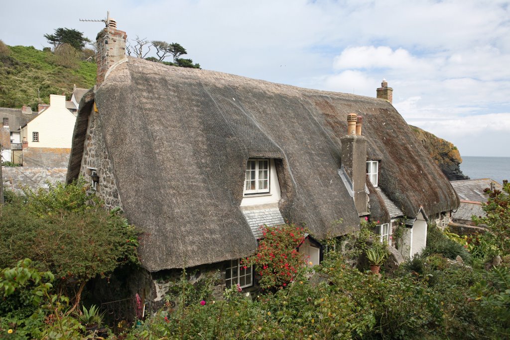 Thatched Cottage at Cadgwith Cove by evitw