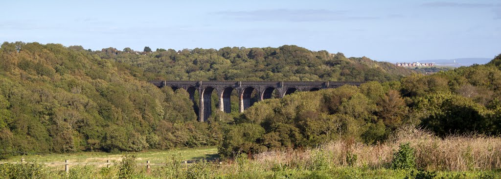 View of Porthkerrry Viaduct, Rhoose by fillup