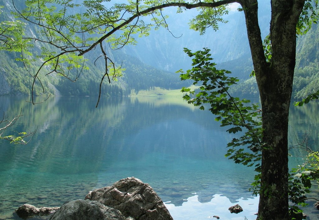 Obersee by Camman