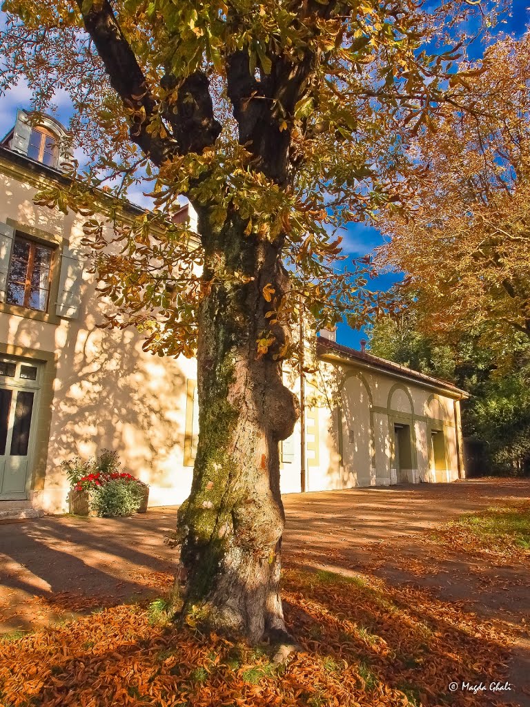 Parc de La Grange by Magda GHALI