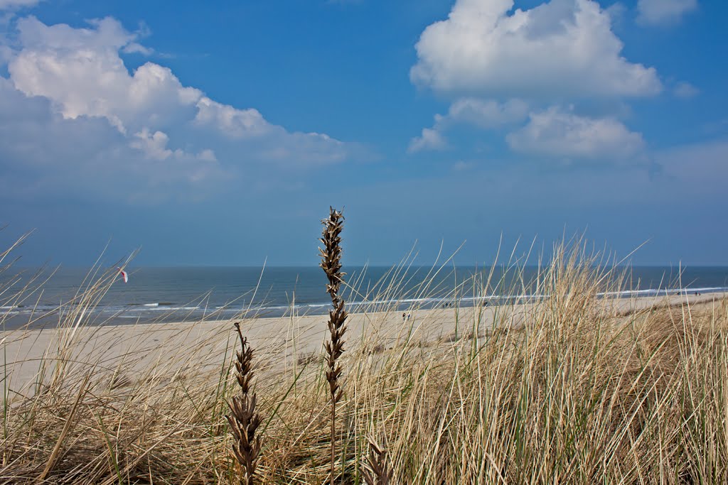 Spiekerooger Strand by H-P-S