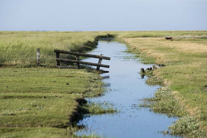 Graben in Wiese in Westerhever by www.hechtphoto.de