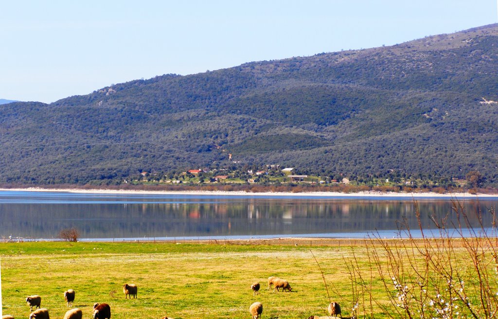 Rivio Amfilochia Lake Amvrakia by 1- Βαγγέλης  Δούτσιος