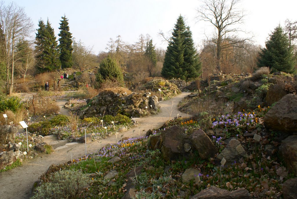 Botanischer Garten - Pflanzengeographie by Daniel Tschernich