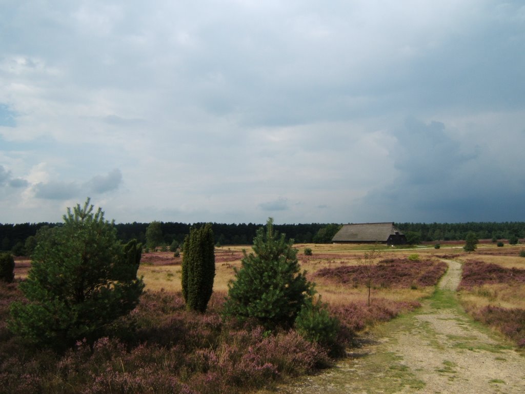 Heide bei Wesel by Rike