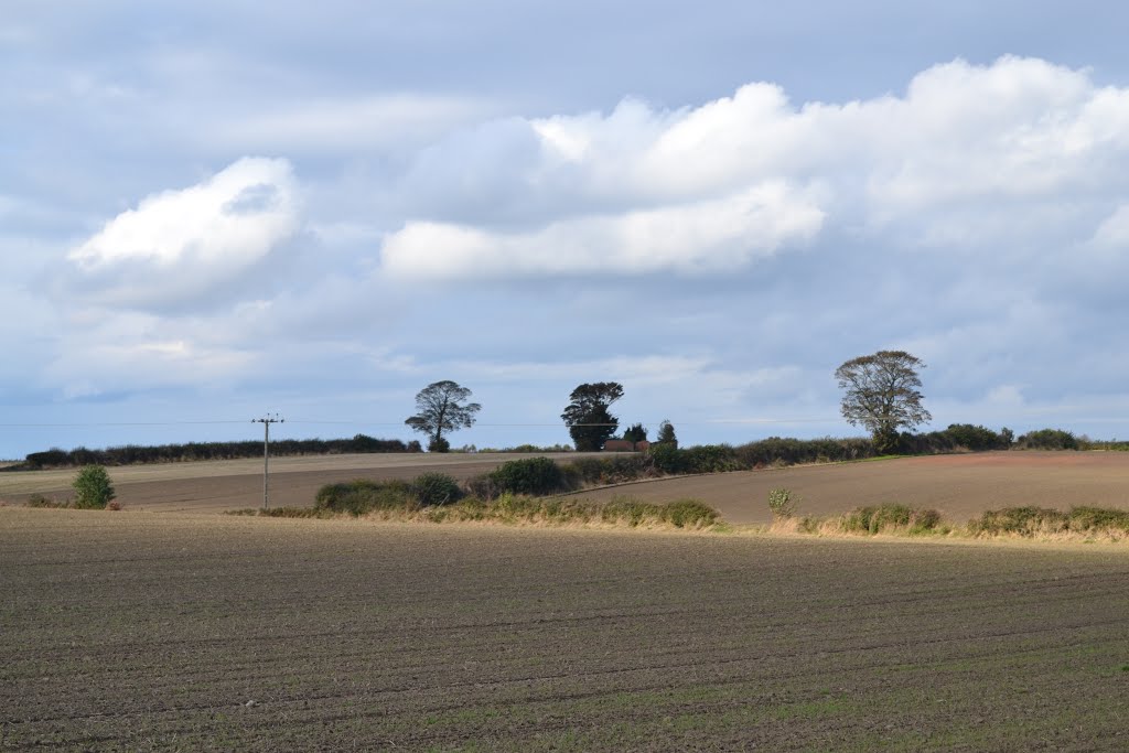 Agricultural land north of West Handley by Neil in Sheffield UK