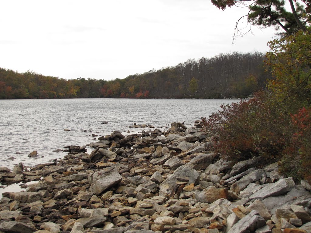 View West from Sunfish Pond Beach by Chris Sanfino