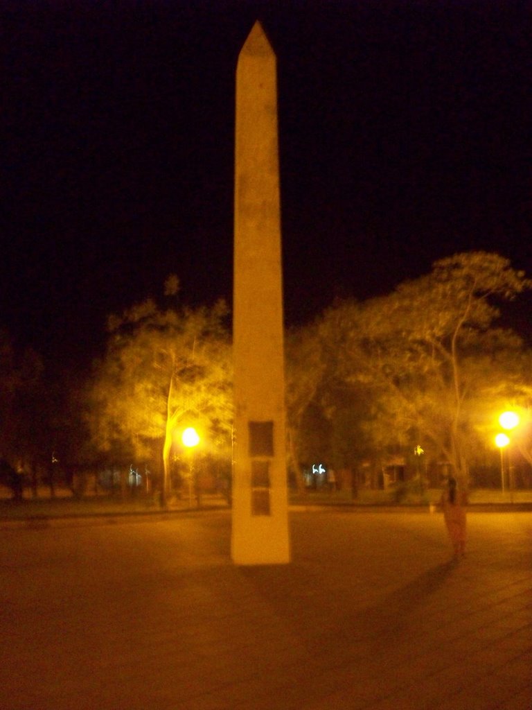 Centro de la plaza(Castelli) by Raúl Adrián Barrios