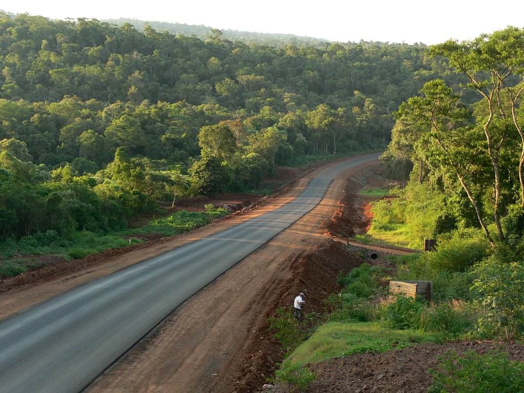 Nuevo asfalto en ruta nacional 101. Corredor de Biodiversidad Urugua-í - Foerster by diegomv