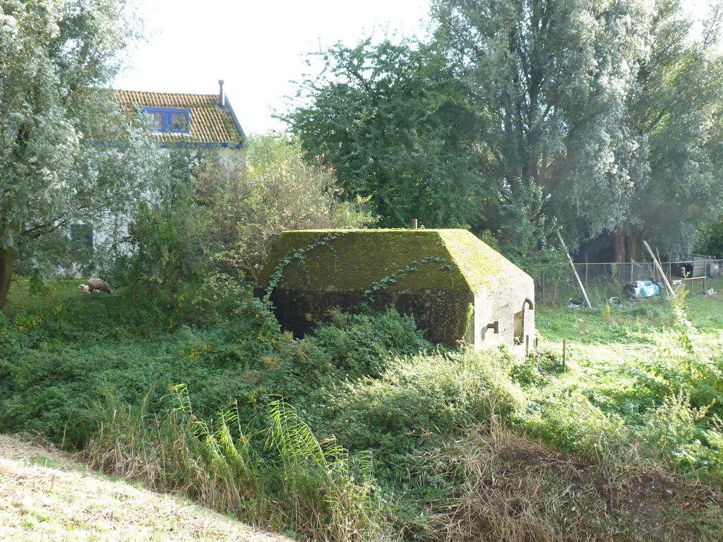 10 nederlandse bunkers "piramide schuilplaats"bij de kop van 't land(5e)onderdeel van het "Zuidfrond vesting Holland" by stevenvanValen+hannekeRolloos