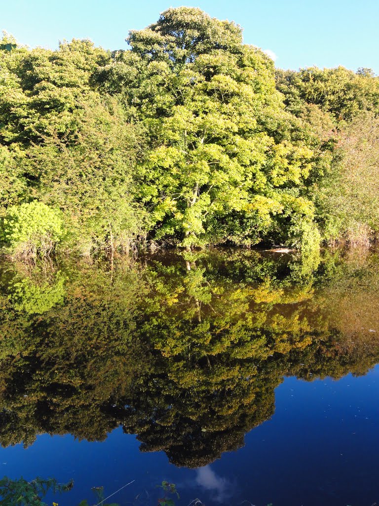 Autumn Reflection 2 by guide paul