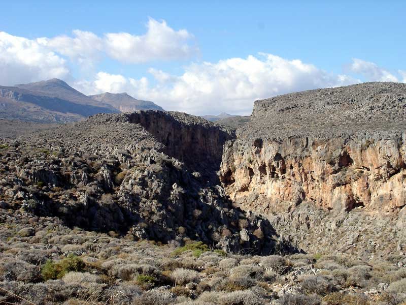 Près de Zakros, Crète by Denise Pelissier