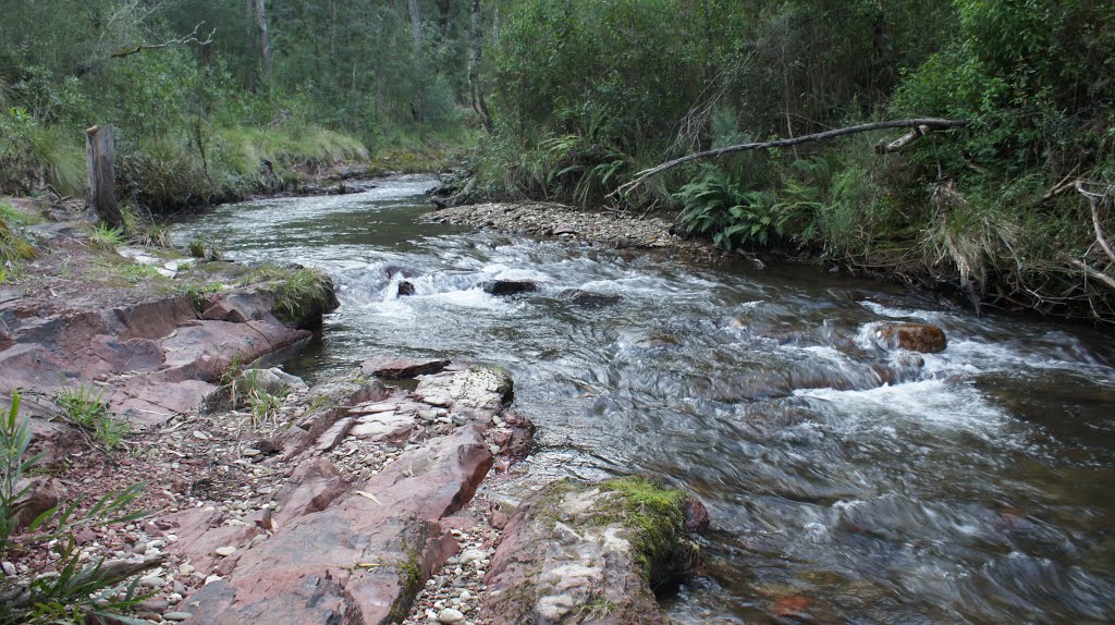 Mt Skene Creek by Melbyrnes