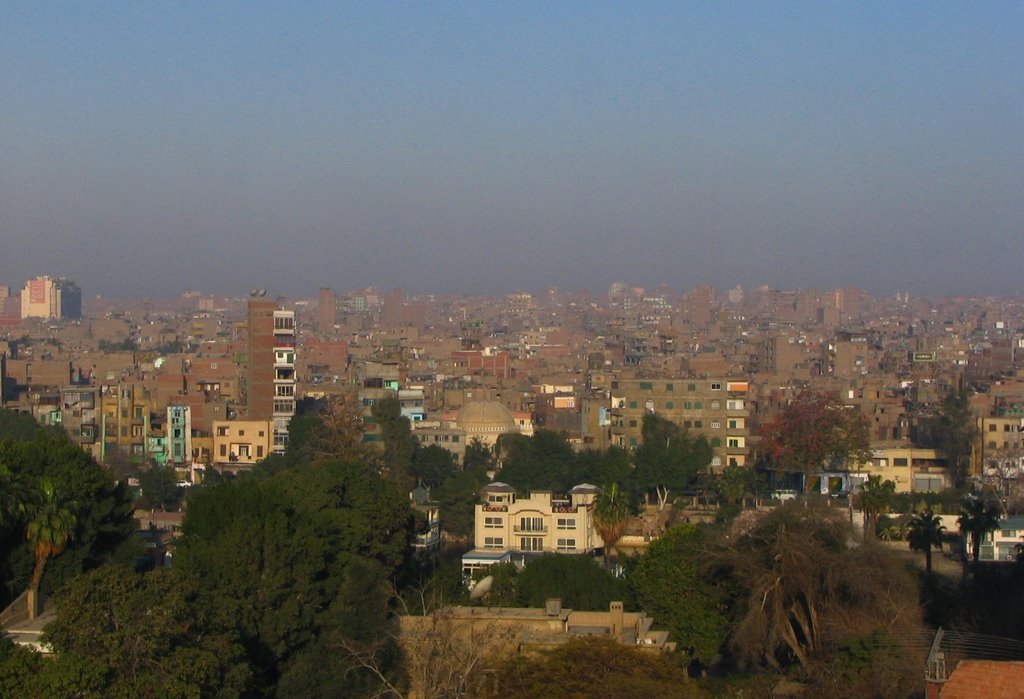 A partial view of Cairo, viewed from The President Hotel in Zamalek district by fajna_asia