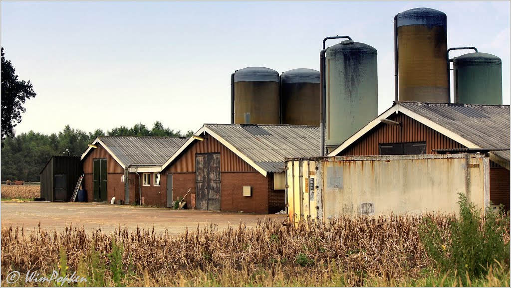 Farm Musselkanaal by Wim Popken