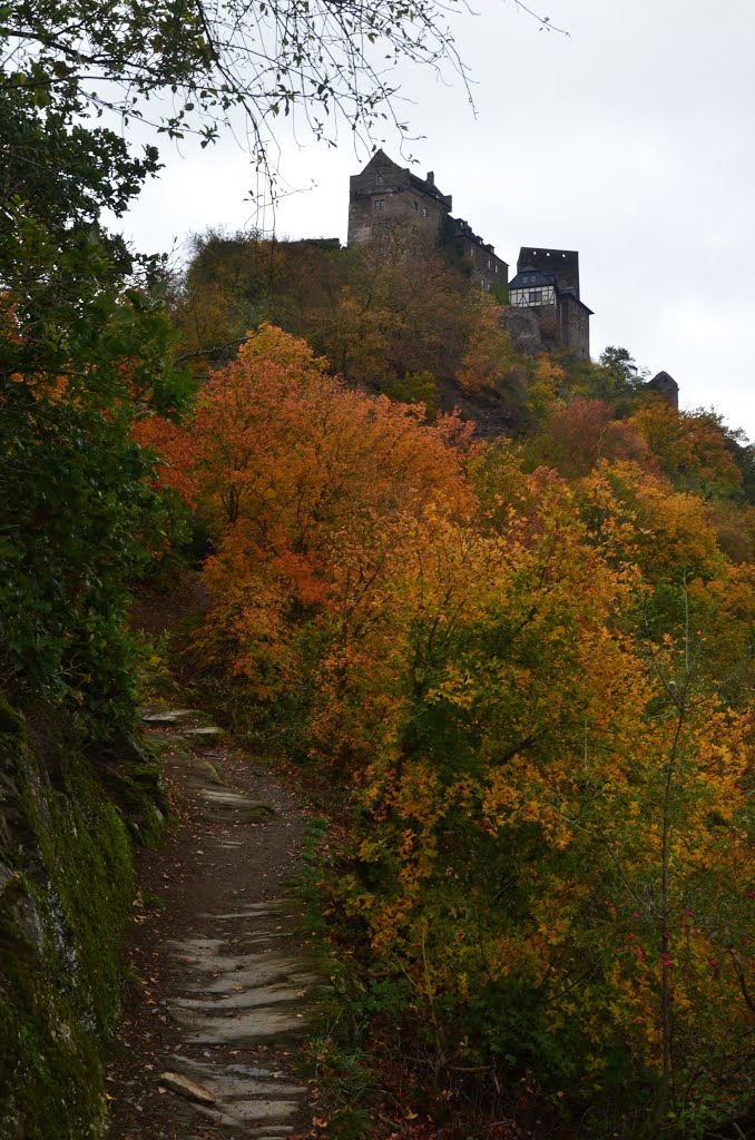 Rheinburgenweg zur Schönburg in Oberwesel by hschwe