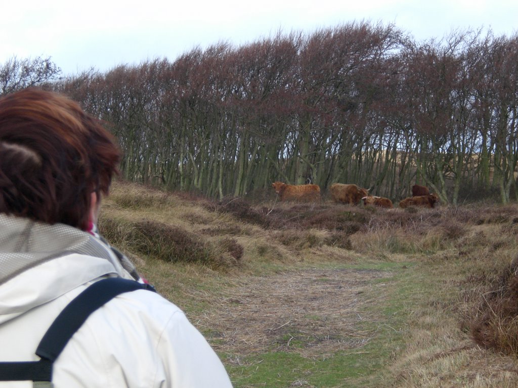 Bollekamer wandeling 2008 by carets