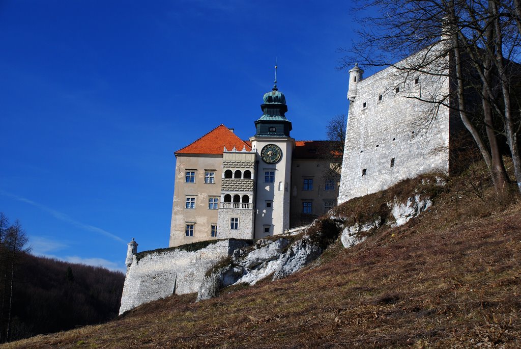 Pieskowa Skala castle by Wojciech Szczepankie…