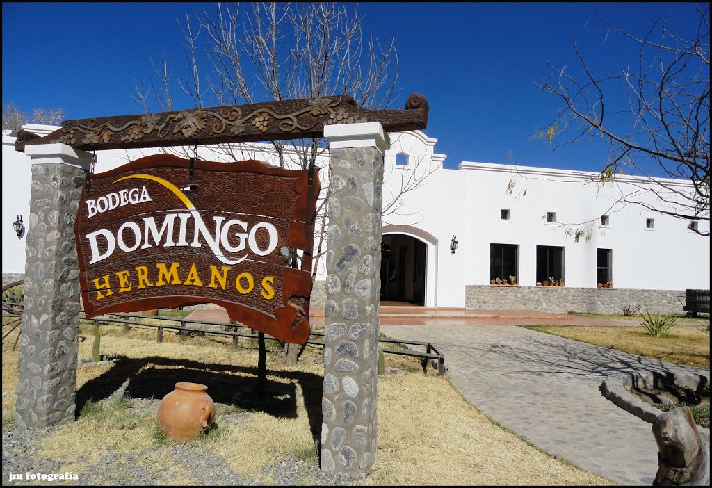 Bodega Domingo Hermanos, Cafayate, Salta - Argentina by Jm Fotografía