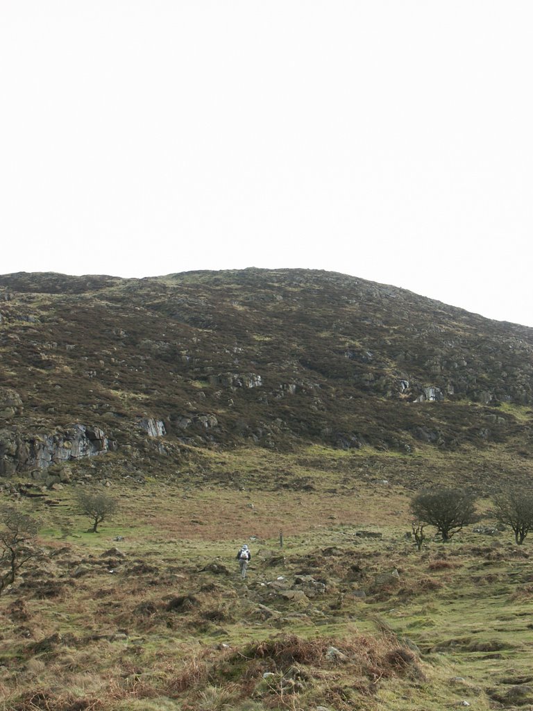 Slemish Mountain by Greg Thompson