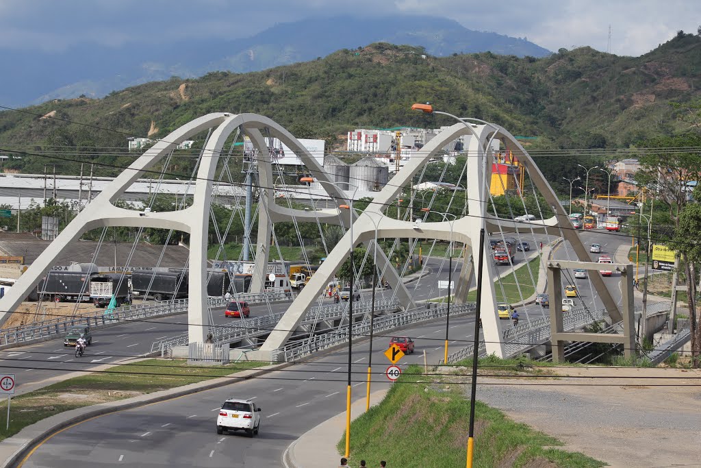 PUENTE EN ARCO ATIRANTADO SOBRE RIO DE ORO by orlando ardila