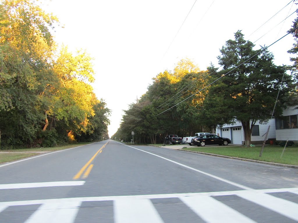 Stafford Ave by Adam Elmquist