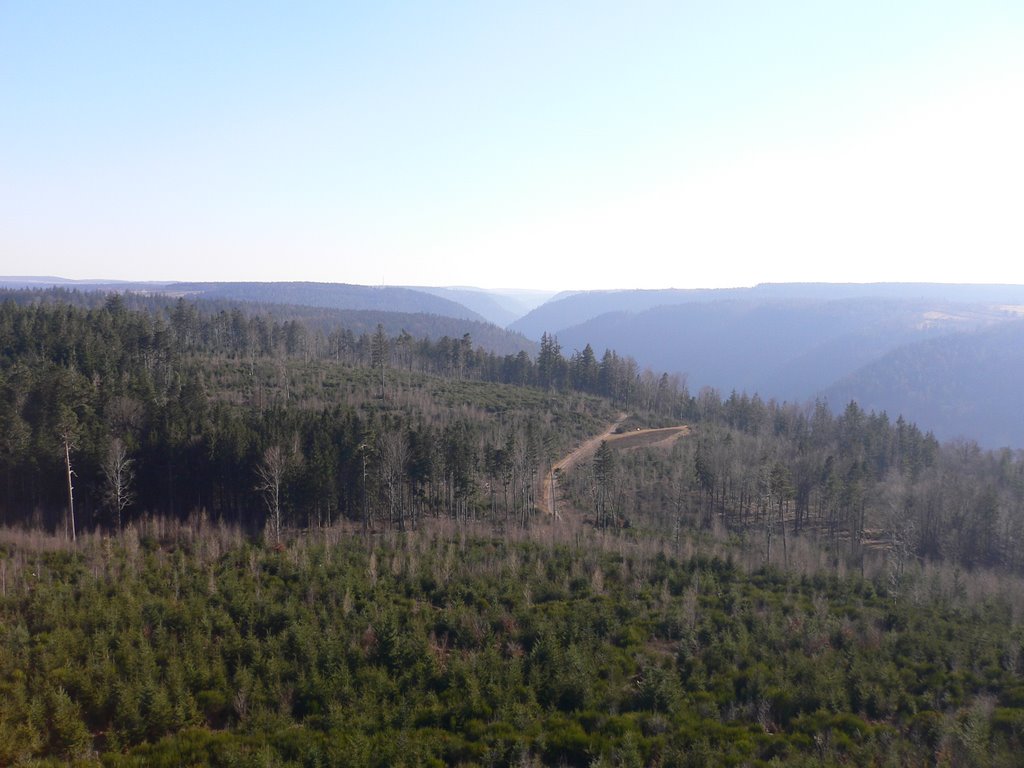 Pforzheim Hohenwart, Aussichtsturm - Blick aufs Nagoldtal by sam besi